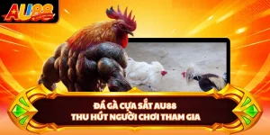 Đá Gà Cựa Sắt - 3 Bí Quyết Săn Thưởng Lớn Tại Nhà Cái AU88